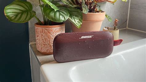 bose soundlink flex假貨